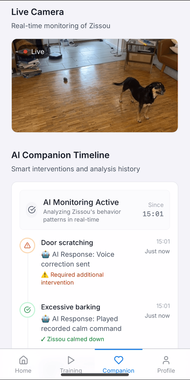 Remote Behavior Correction