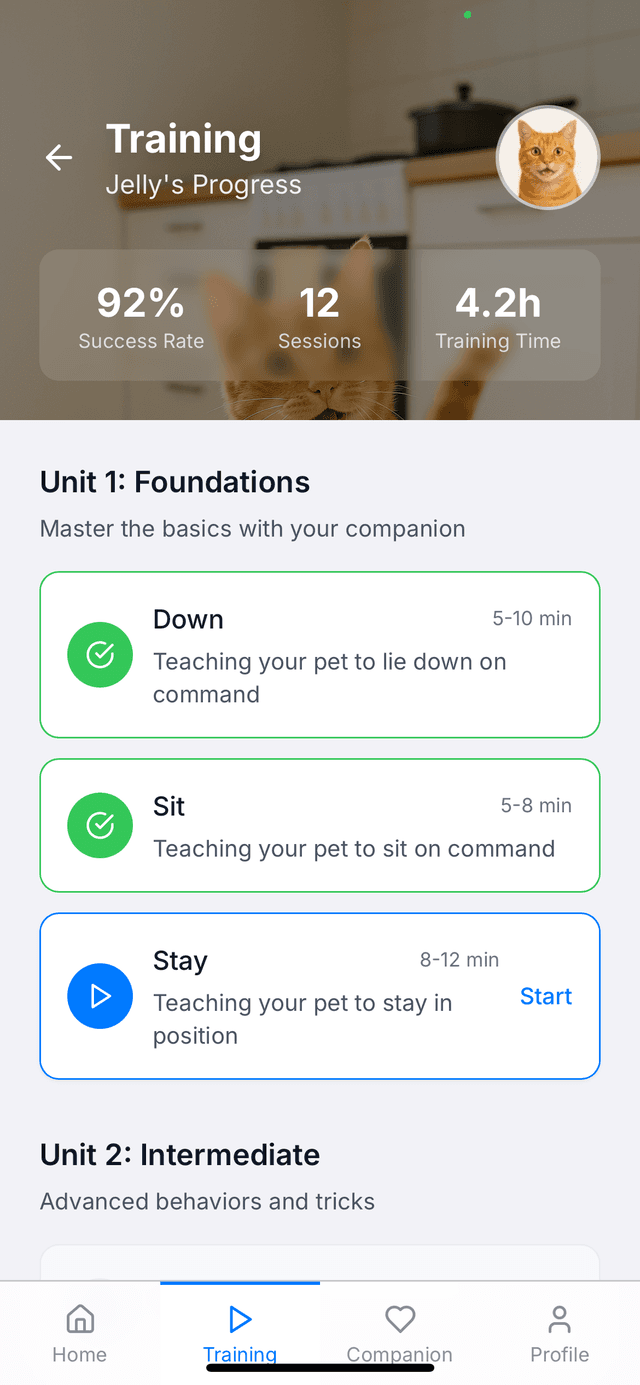 Professional Training Techniques